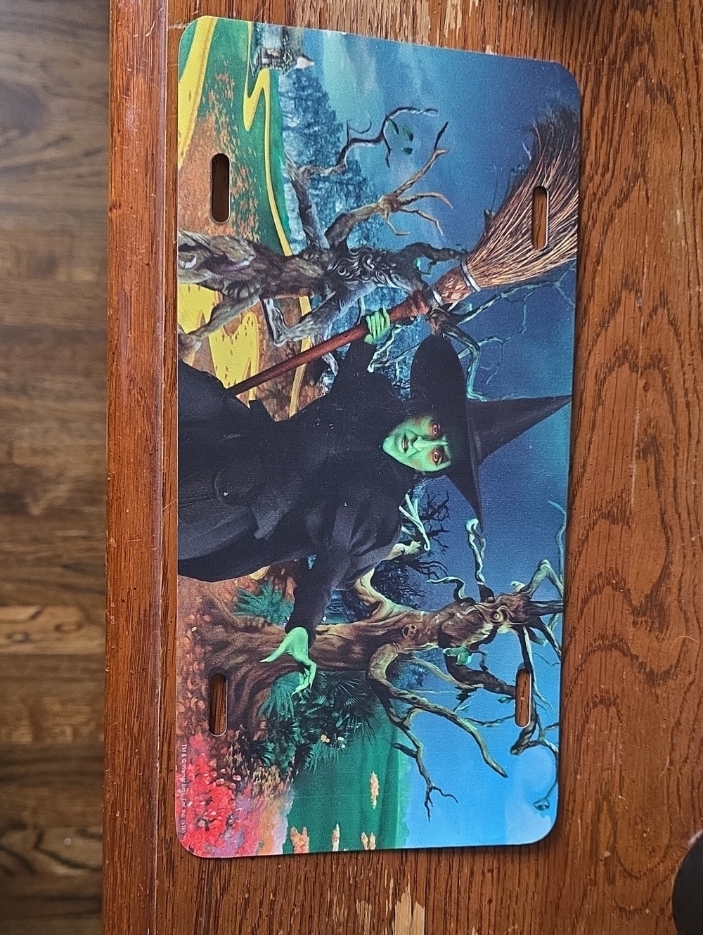 Green-Faced Wicked Witch Decorative License Plate